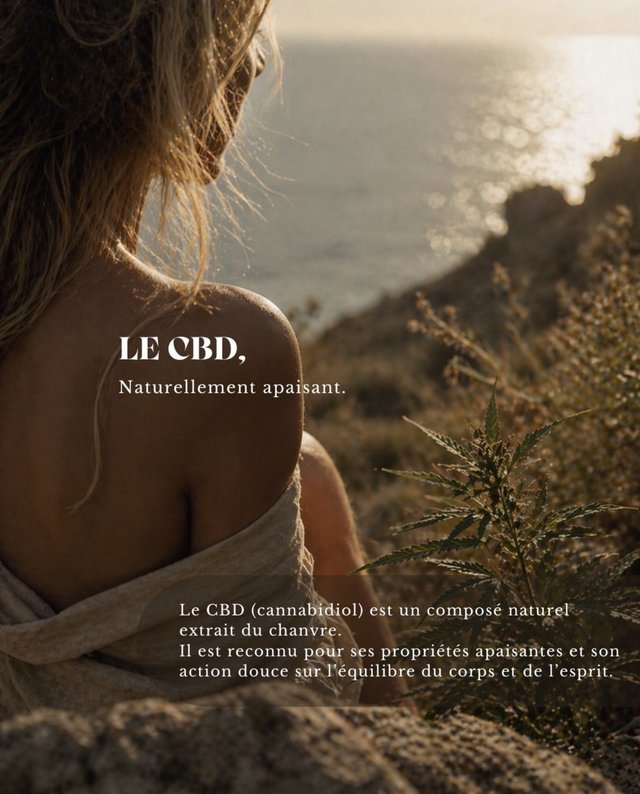 Le CBD, simplement — Maison Nomae